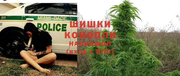 метадон Богородицк