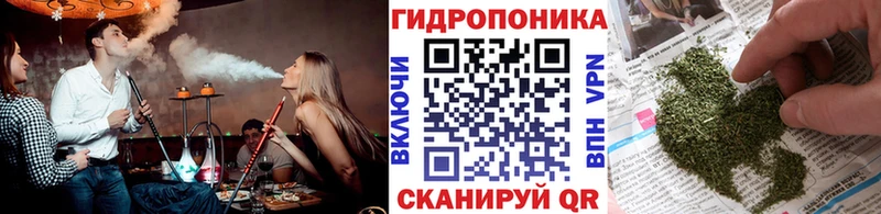 Бошки Шишки OG Kush  Гуково 